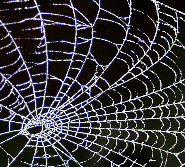 What to Consider When Designing a Website